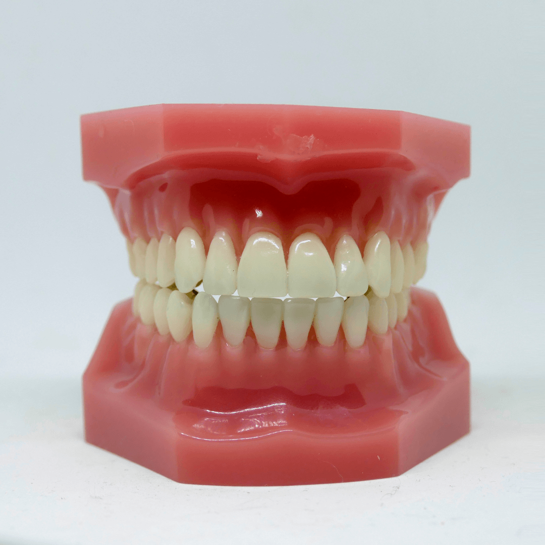 Endodoncia y periodoncia
